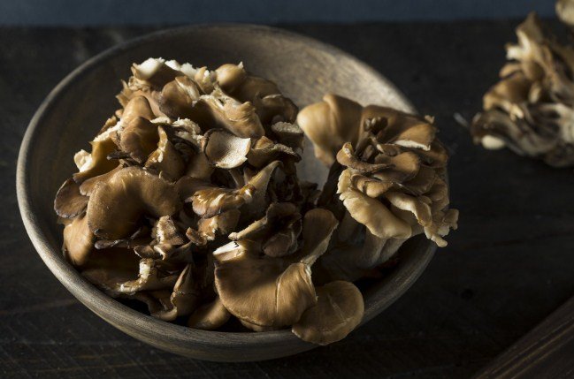 types of black mushrooms