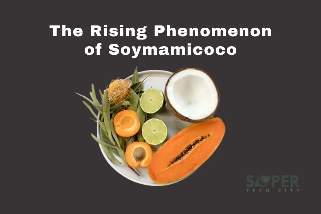 Soymamicoco