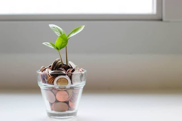 investing in Mutual Funds