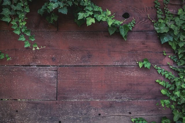 Skirting Boards