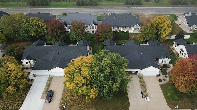 Hardscape Contractor