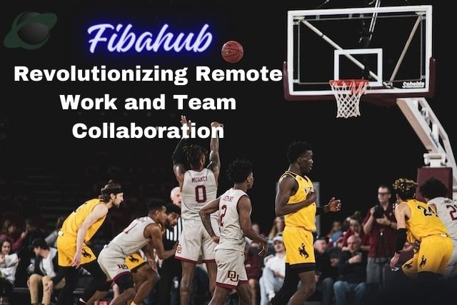 Fibahub